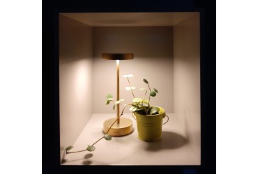 IBIZA led tafellamp mini goud