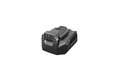 Batterij Standaardlader EGO