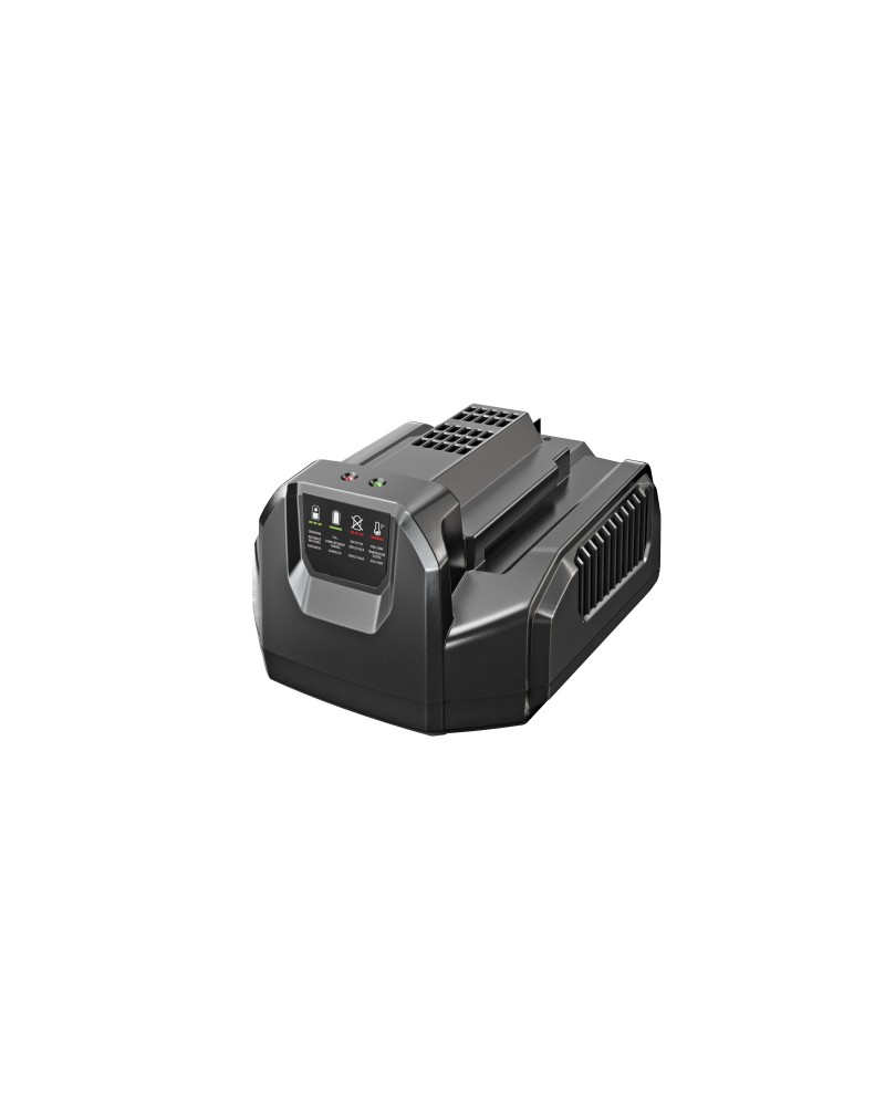 Batterij Standaardlader EGO
